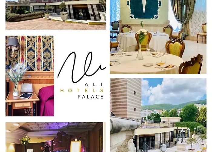 Palace - AlihotelsAlbergo